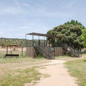Elephant Viewpoint at Safari Madrid, 19th May 2022
