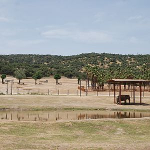 View from Elephant Viewpoint at Safari Madrid, 19th May 2022