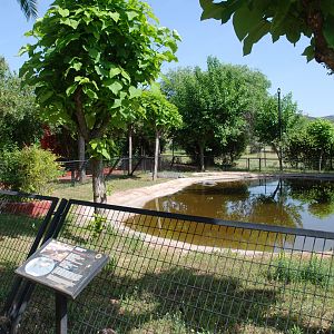 American Alligator Enclosure at Safari Madrid, 19th May 2022