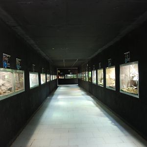 Reptile House Interior (Older Building) at Safari Madrid, 19th May 2022