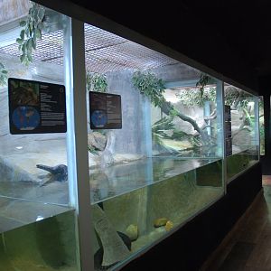Reptile House Interior (Newer Building) at Safari Madrid, 19th May 2022