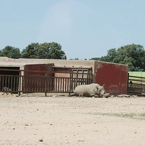 Hippo, Rhino, Zebra, Baboon and American Black Bear Reserve at Safari Madrid, 19th May 2022