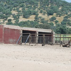 Hippo, Rhino, Zebra, Baboon and American Black Bear Reserve at Safari Madrid, 19th May 2022