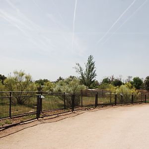Striped Hyaena Enclosure at Safari Madrid, 19th May 2022