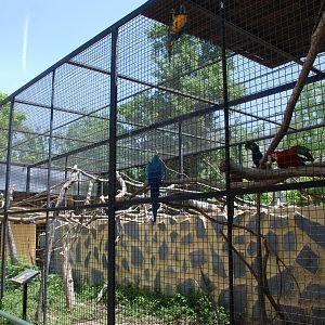 Macaw, Turaco, and Pheasant Aviary at Safari Madrid, 19th May 2022