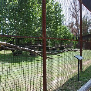 Jaguar Enclosure at Safari Madrid, 19th May 2022