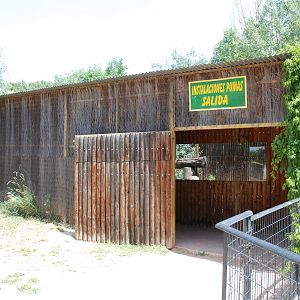 Puma Enclosure at Safari Madrid, 19th May 2022