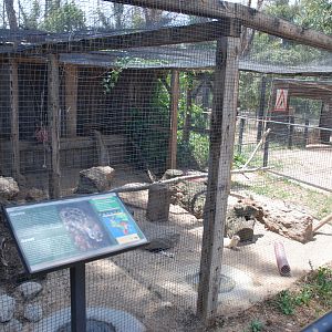 Common Genet and Ferret Enclosures at Safari Madrid, 19th May 2022