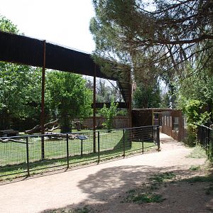 Jaguar Enclosure at Safari Madrid, 19th May 2022