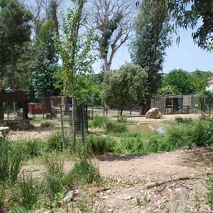 Iberian Wolf Enclosure at Safari Madrid, 19th May 2022