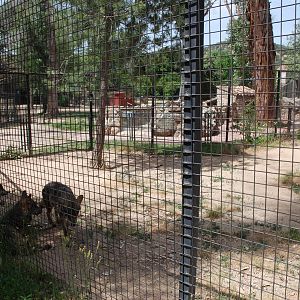 Iberian Wolf Enclosure at Safari Madrid, 19th May 2022