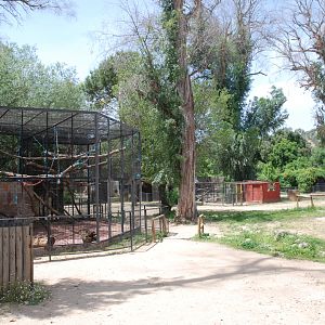 View Including Grivet Enclosure at Safari Madrid, 19th May 2022