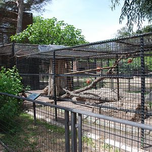 Raccoon Enclosure at Safari Madrid, 19th May 2022