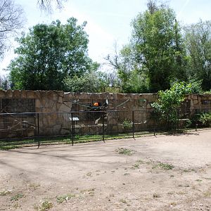 Grivet and Brown Capuchin Enclosures at Safari Madrid, 19th May 2022