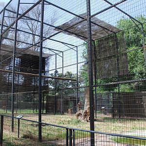 Steller's Sea Eagle and Griffon Vulture Aviary at Safari Madrid, 19th May 2022