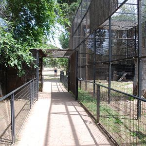 Path between European Lynx Enclosure and Vulture/Eagle Aviary at Safari Madrid, 19th May 2022