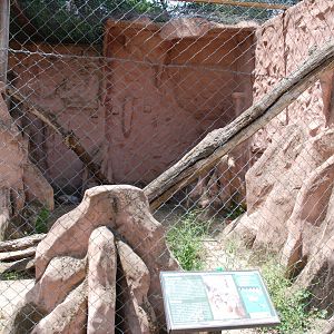 Bobcat Enclosure at Safari Madrid, 19th May 2022