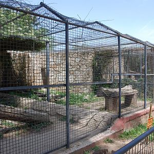 Leopard Enclosure at Safari Madrid, 19th May 2022