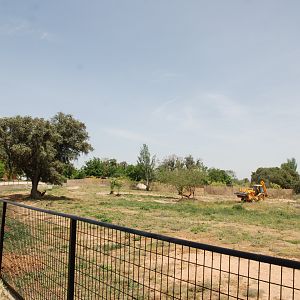 Red Kangaroo Paddock at Safari Madrid, 19th May 2022