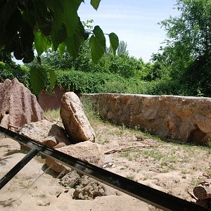 Banded Mongoose Enclosure at Safari Madrid, 19th May 2022