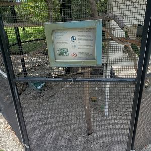 Sawgrass Nature Center (2022) - Amazons + enclosure