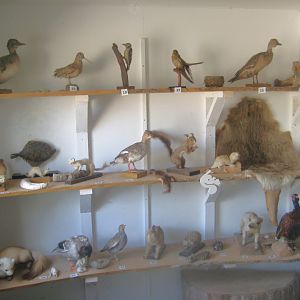 Sagnlandet Lejre - Exhibition house