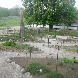 Sagnlandet Lejre - Medieval herb garden