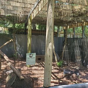 Quogue Wildlife Refuge (2022) - Opossum enclosure