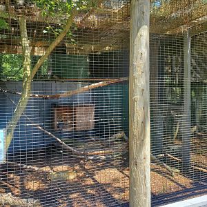 Quogue Wildlife Refuge (2022) - Peregrine Falcon enclosure