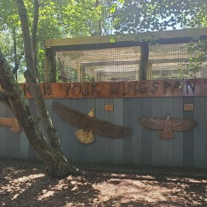 Quogue Wildlife Refuge (2022) - Wingspan comparisons