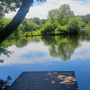 Quogue Wildlife Refuge (2022) - Lake view