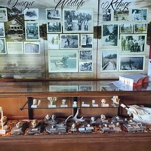 Quogue Wildlife Refuge (2022) - Nature Center displays