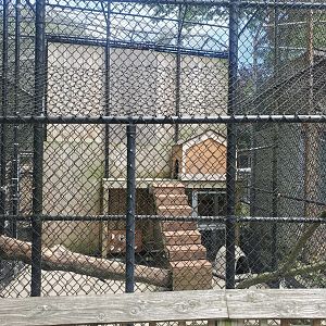Holtsville Wildlife & Ecology Center (2022) - Arctic Fox enclosure