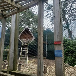 Holtsville Wildlife & Ecology Center (2022) - Bald Eagle enclosure