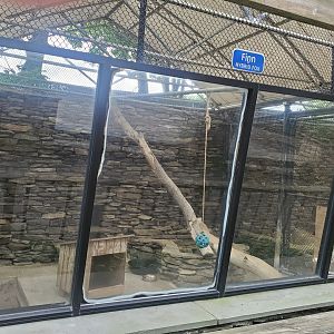 Holtsville Wildlife & Ecology Center (2022) - "Hybrid" Fox enclosure