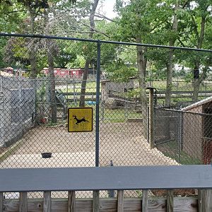 Holtsville Wildlife & Ecology Center (2022) - Deer enclosure