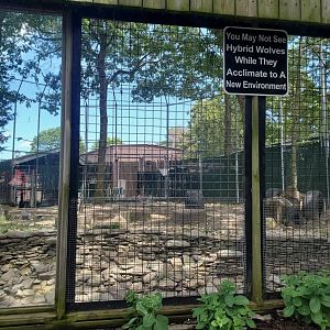 Holtsville Wildlife & Ecology Center (2022) - Wolf enclosure