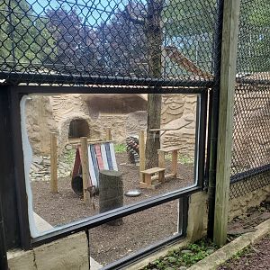 Holtsville Wildlife & Ecology Center (2022) - Bobcat enclosure