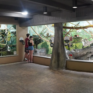 Jun. 2022 - Legends of the Wild - Madagascar - Lemur Exhibits