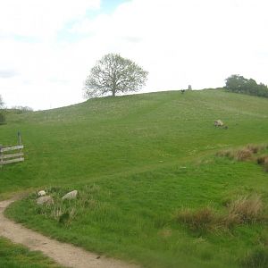 Sagnlandet Lejre - Sheep pen
