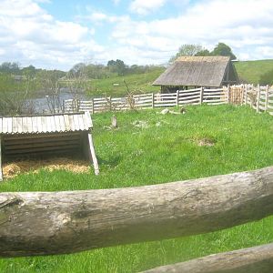 Sagnlandet Lejre - Buck pen