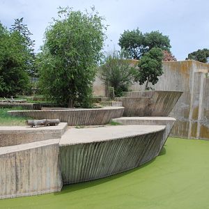 Asian Lion Enclosure at Zoo Aquarium de Madrid, 20th May 2022