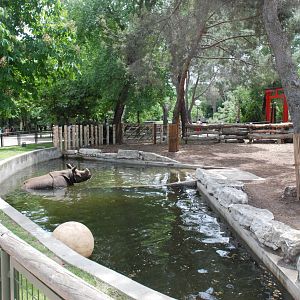 Indian Rhinoceros Pool at Zoo Aquarium de Madrid, 20th May 2022