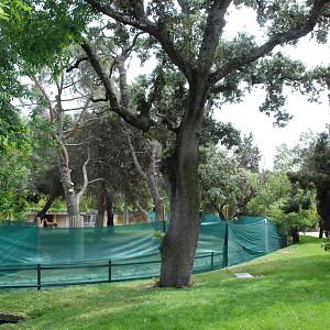 New Spanish Red Deer Enclosure at Zoo Aquarium de Madrid, 20th May 2022