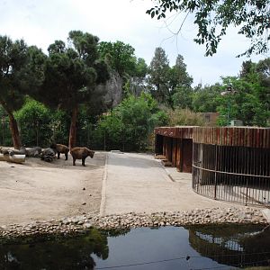 Mishmi Takin Enclosure at Zoo Aquarium de Madrid, 20th May 2022