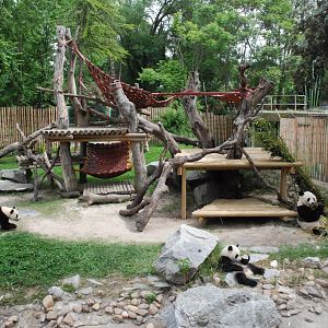 Giant Panda Enclosure at Zoo Aquarium de Madrid, 20th May 2022