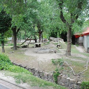 Giant Panda Enclosure at Zoo Aquarium de Madrid, 20th May 2022