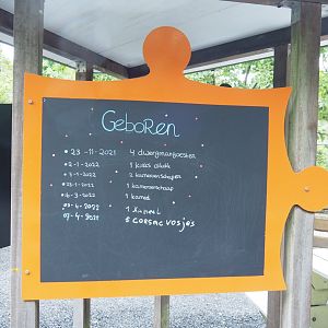 Recent birth signs, 2022-05-17