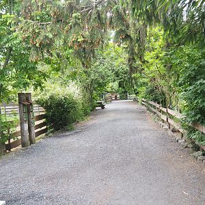 Walkway between aviaries, 2022-05-17