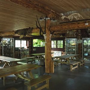 View in the Zie-Zoo College, 2022-05-17